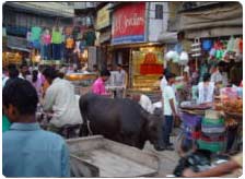 Bazaars in Daman