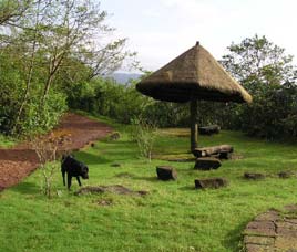 Wildernest Resort Dandeli