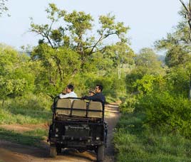 Conservation History of Dudhwa National Park