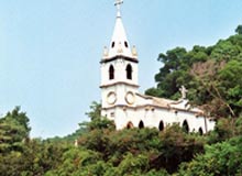 Feast of St. Francis Xavier Goa