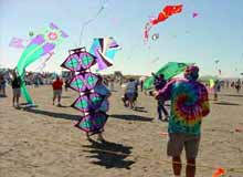 International Kite Festival