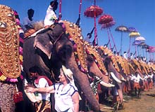 Adoor Gajamela
