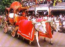 Gangaur Festival