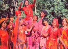 Holi Festival