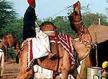 Nagaur Fair, Nagaur
