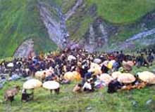 Phool Dei Festival