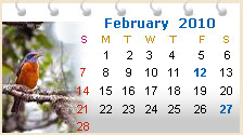 India Travel Calendar - Jan '10