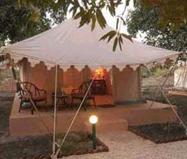 Lion Safari Camp Sasangir