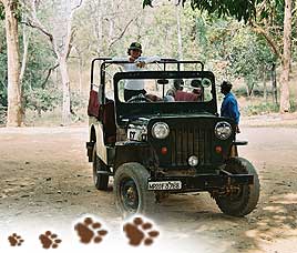 Transportation in Gir National Park