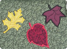Applique Gujarat