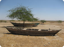 Tour to Little Rann of Kutch