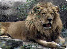 Excursions from Ahmedabad