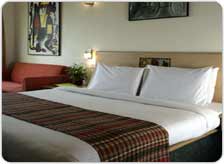 Lemon Tree Hotel Millennium Center
