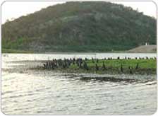 Sohna Lake Gurgaon