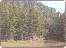 Dal Lake
