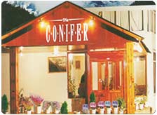 The Conifer Manali