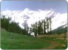 Kufri Hill Station Tour