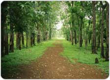 Tour to Bilaspur