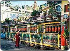 Tour to Dharamshala
