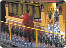 Dharamshala Tour