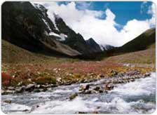 Tour to Kinnaur