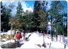Kufri Tour