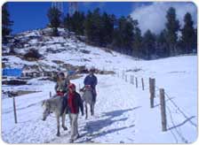 Tour to Kufri