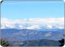 Shimla Tours - himachal pradesh tourist attractions tour packages for shimla india
