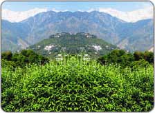 Weekend getaways from Dharamshala