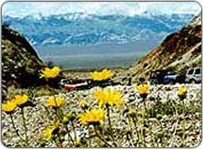 Weekend Getaways from Kullu Manali