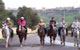 Horse Safari Southern Sojourn