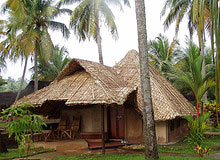 Holidays in Cochin