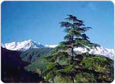Holiday in Dal Lake, Dalhousie