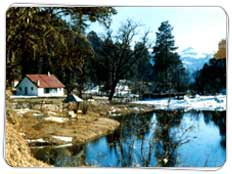 Holidays in Kausani