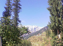 Holidays in Manali
