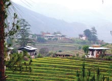 Holiday in Ooty