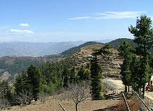 Holidays in Shimla