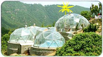 Chail Monsoon Packages