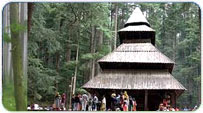 Palampur Monsoon Packages