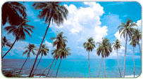 Goa Monsoon Packages