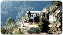 Hotel Blossom, Shimla