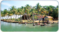 Kerala Monsoon Packages