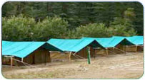 Mashobra Monsoon Packages