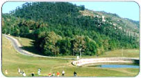Naldehra Monsoon Packages