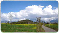 Palampur Monsoon Packages