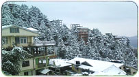 Shimla Monsoon Packages