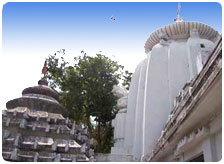 Goa Monsoon Packages