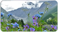 Uttaranchal Monsoon Packages