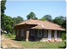 Budget Hotels in Coorg