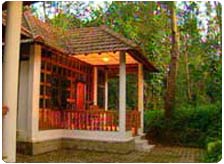 Coffee Valley Resort